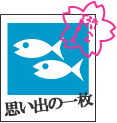 �v���o��1��